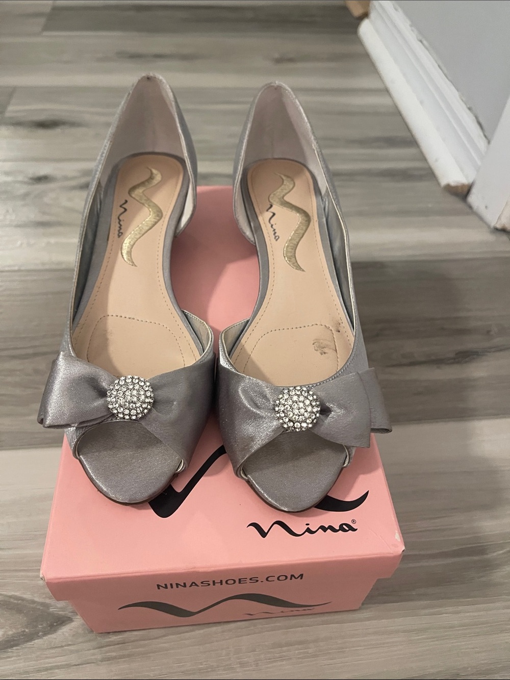 Nina Ronelle Royal Silver Shoes